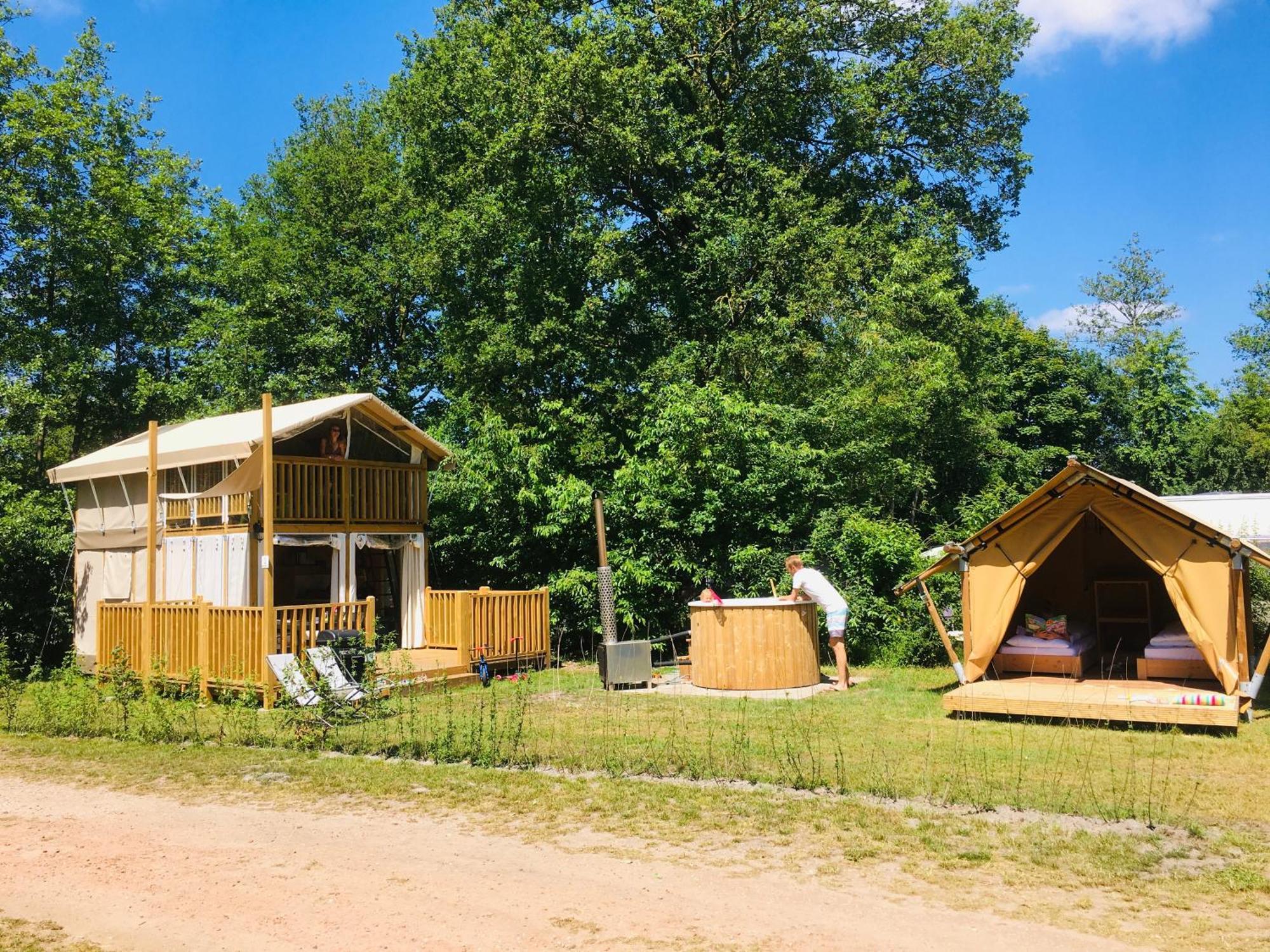Papillon Country Resort Denekamp Rum bild